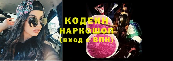 стаф Кодинск