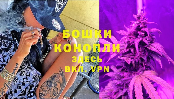 стаф Кодинск