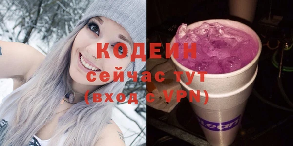 стаф Кодинск