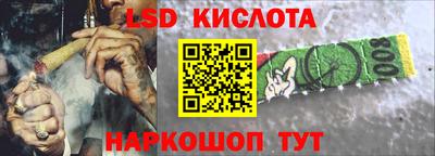 PSILOCYBIN Гатчина