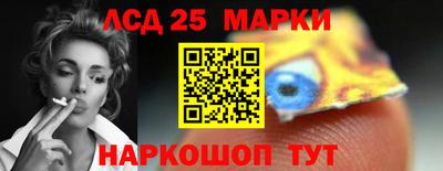 PSILOCYBIN Гатчина