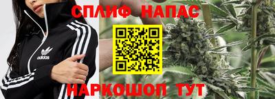 твердый Гай