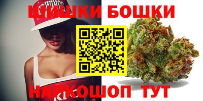 PSILOCYBIN Гатчина