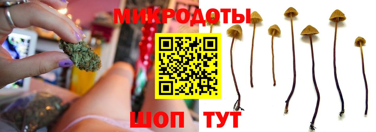 Псилоцибиновые грибы Psilocybine cubensis  купить  цена  Шадринск  Галлюциногенные грибы Psilocybine cubensis  Вход с VPN 